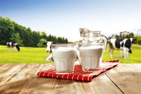 Süt ürünleri kan şekerini yükseltir
